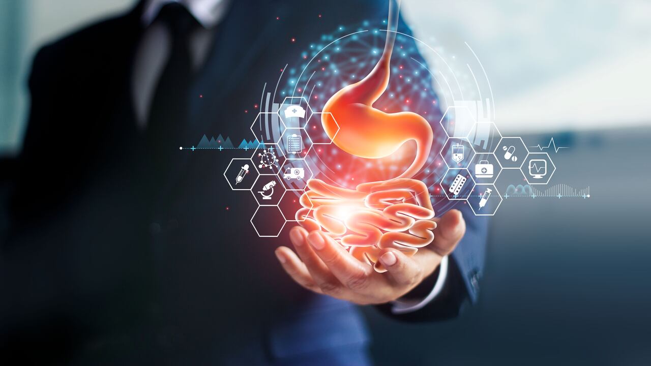 Gastritis / Digestión / Estómago