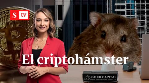 MONICA CRIPTOHÁMSTER