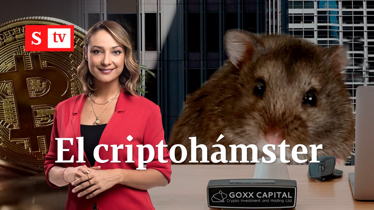 MONICA CRIPTOHÁMSTER