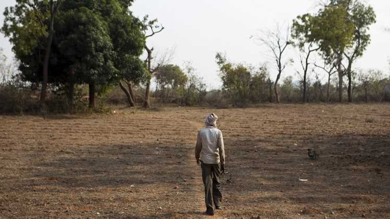 Alrededor del 75% de pequeños productores no tiene acceso al crédito formal. Foto: Bloomberg.