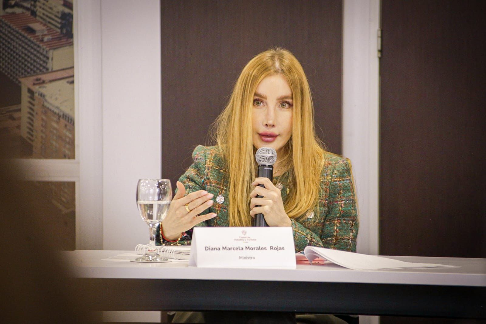 La ministra de Comercio, Industria y Turismo, Diana Marcela Morales Rojas, explicó que la respuesta de Colombia a Ecuador.