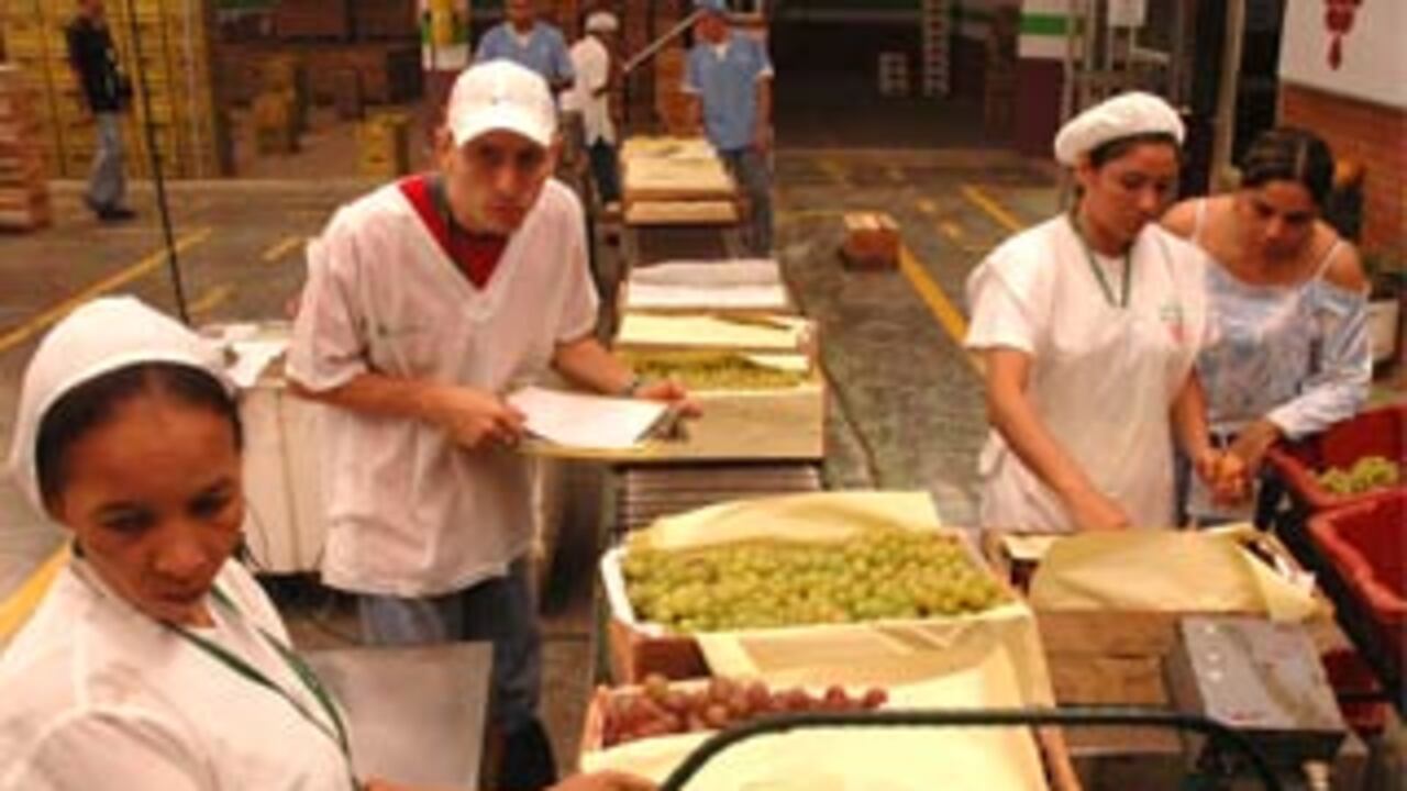 Para poder pagarles los salarios a los 4.500 empleados del Grupo Grajales, un carro blindado tiene que transportar, cada 15 días, 1.500 millones de pesos en efectivo desde Pereira, Risaralda, hasta La Unión, en Valle del Cauca