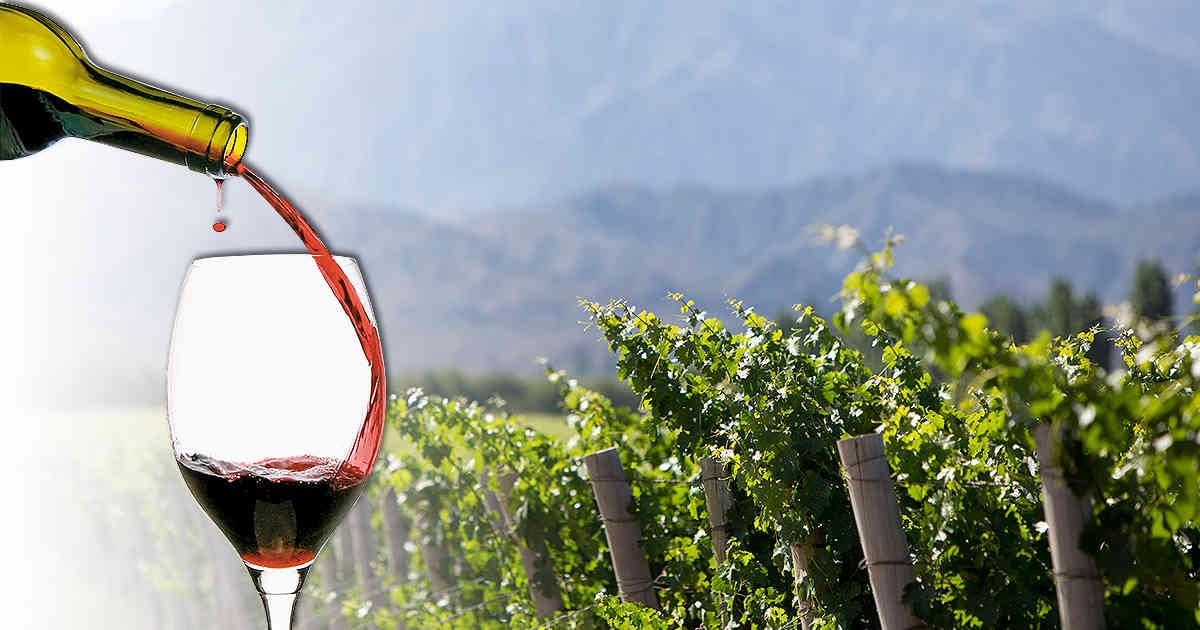 Los viñedos en Argentina son los pioneros en Suramérica en el riego por goteo y el reciclaje de vidrio. (Foto: 123rf)