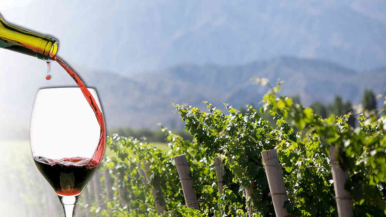 Los viñedos en Argentina son los pioneros en Suramérica en el riego por goteo y el reciclaje de vidrio. (Foto: 123rf)