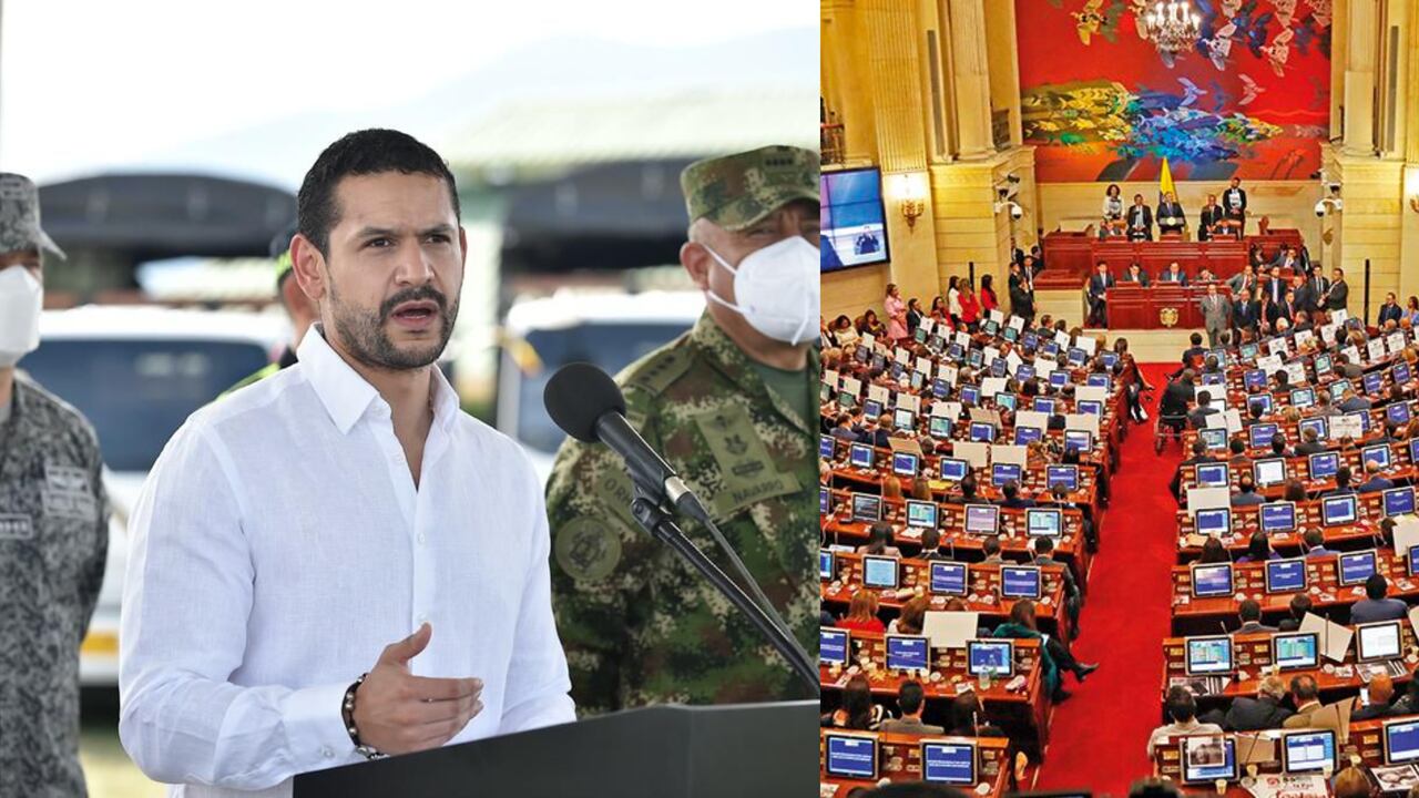 Daniel Palacios ministro del Interior y referendo para cadena perpetua