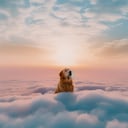 Consejos para afrontar el duelo tras la pérdida de una mascota.