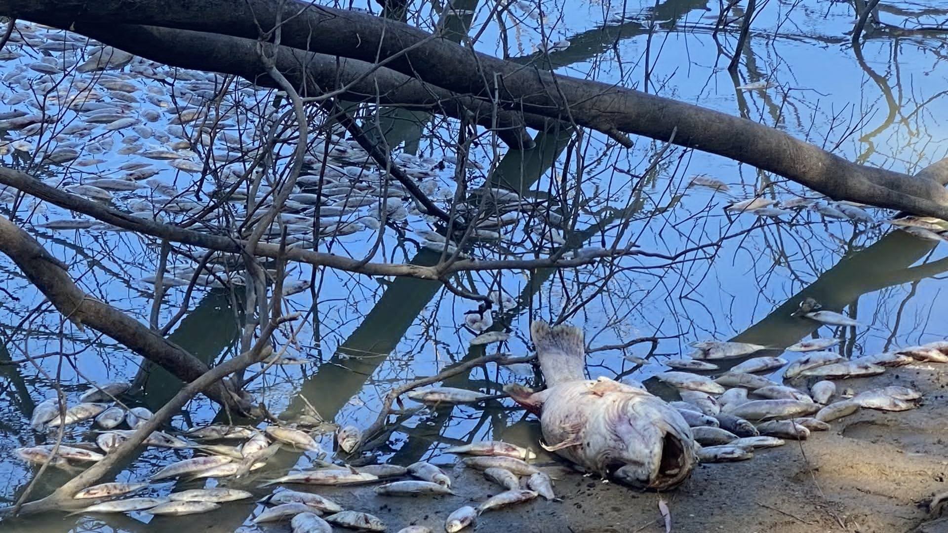 Imagen compartida por @SarahJMcConnell