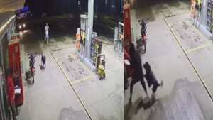 Perro defendió a trabajador de un ladrón en Boyacá