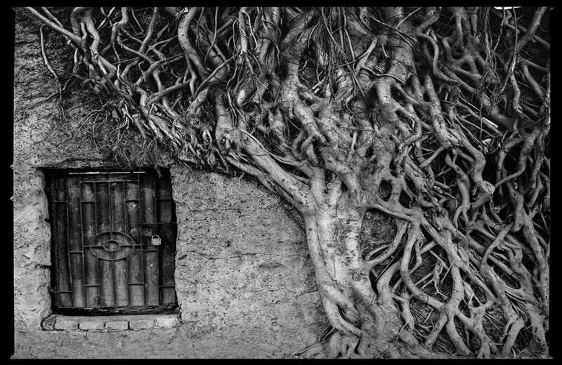 'Mujeres guerreras (Bangladesh)', Carlos Saavedra.