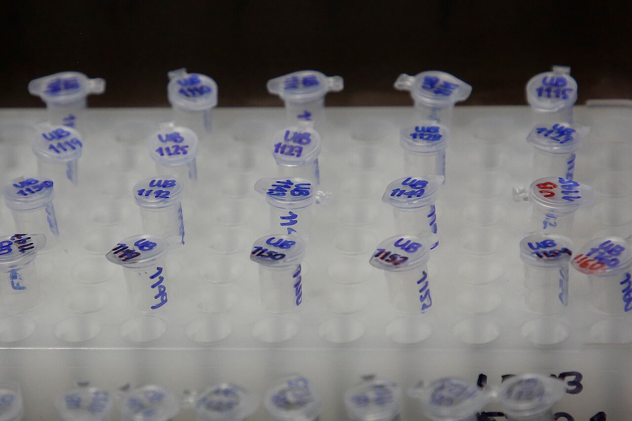 Especial vacunación