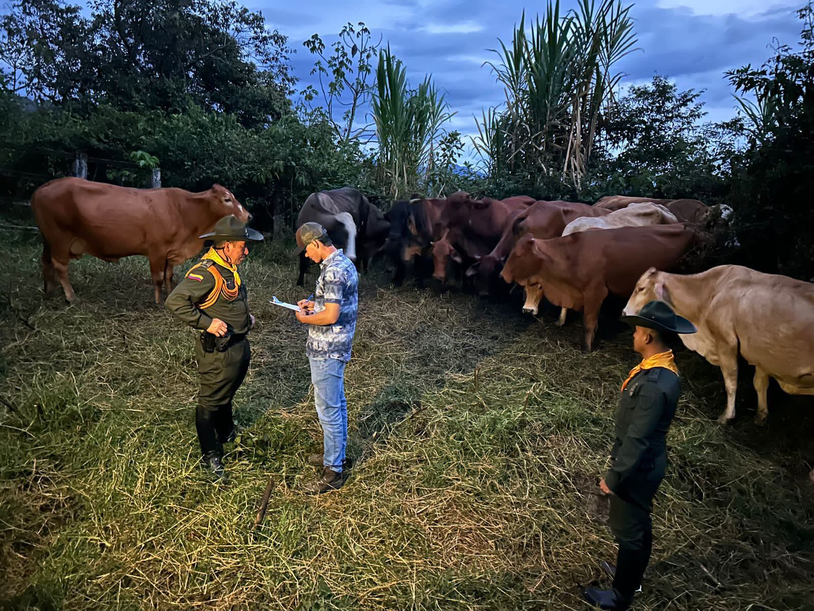 Operativos contra el abigeato