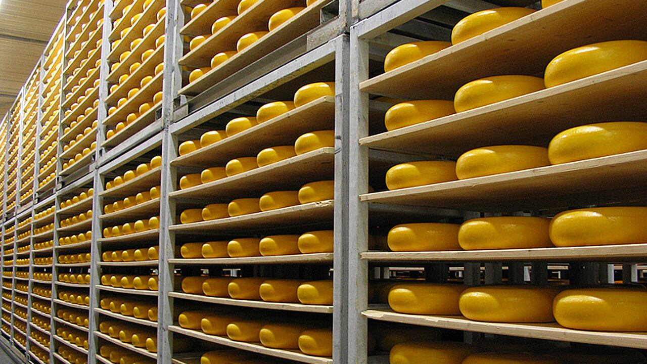 En el momento de la tragedia, había alrededor de 10 pasillos de estantes de piso a techo completamente ocupados, con alrededor de 1.600 piezas de queso por cada pasillo.