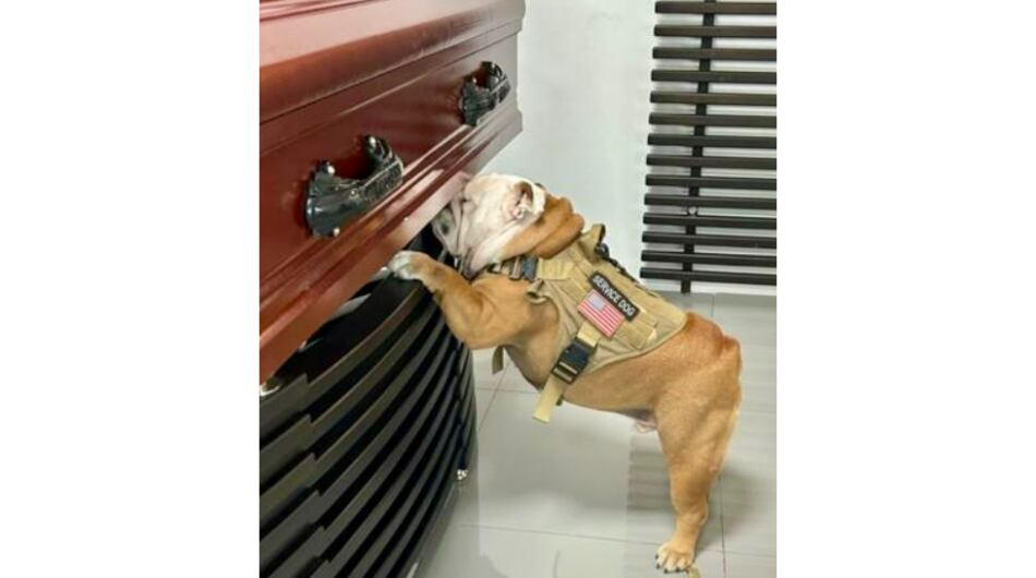 Conmovedora despedida de Bulldog en Barranquilla.