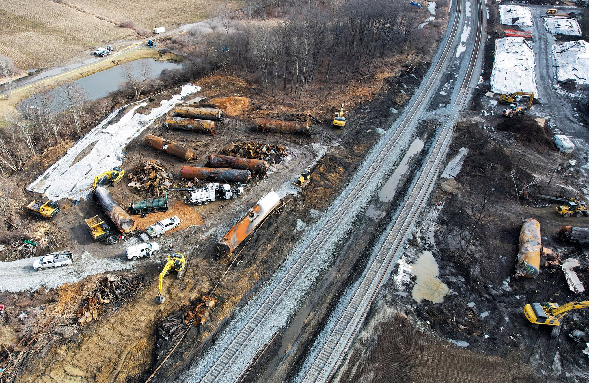 Fotos de la semana 24 feb