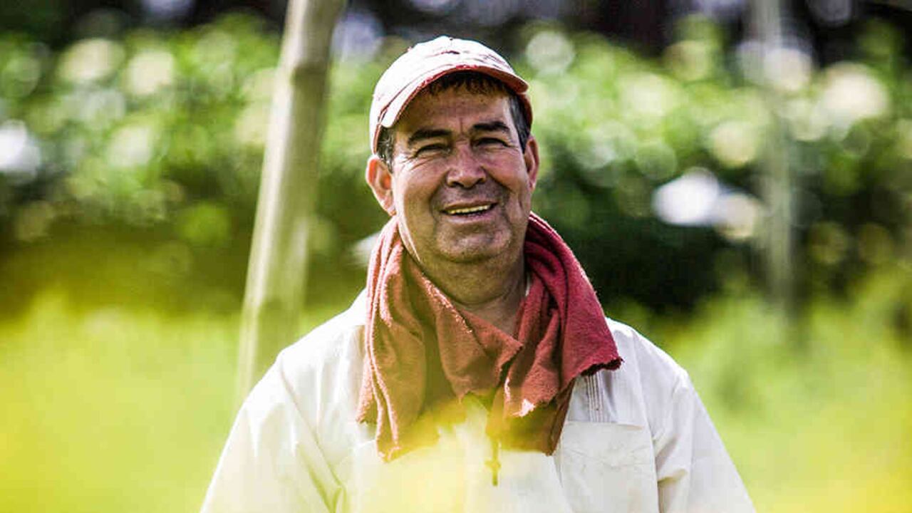 Rionegro suministra el 44 por ciento de la provisión de alimentos y el total de la energía eléctrica que consume el Valle de Aburrá.