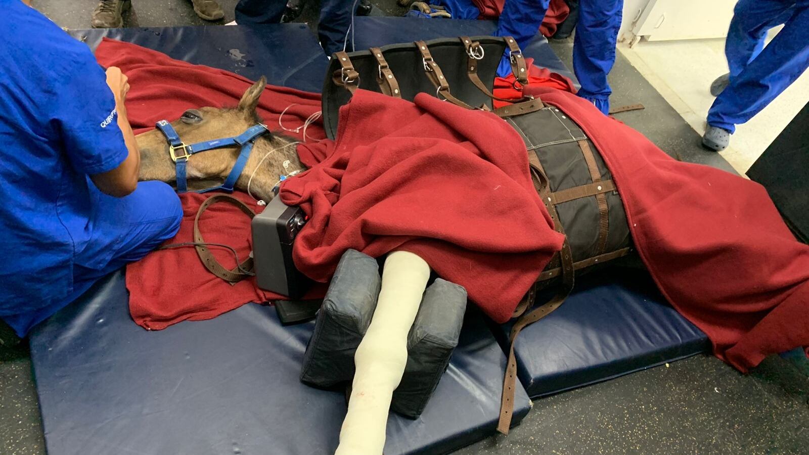 Valentino fue rescatado por el cantante de música popular, Jhonny Rivera.