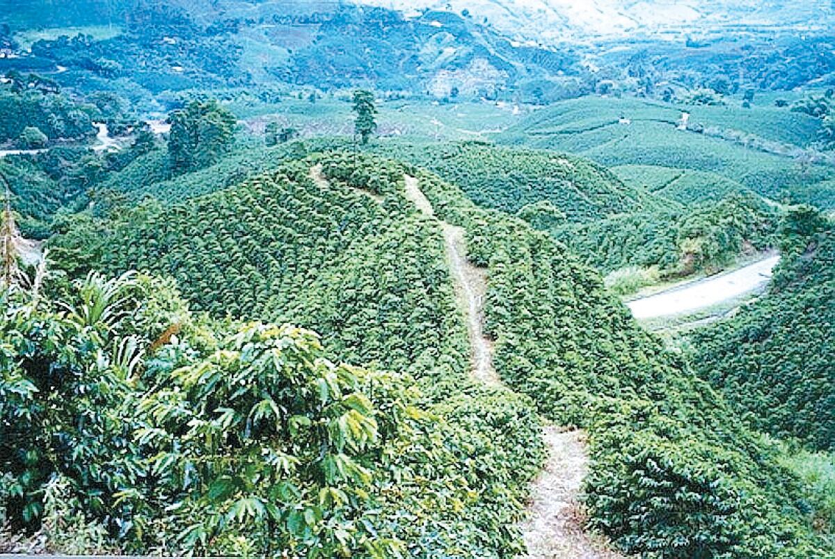 Unesco inscribió en la Lista de Patrimonio Mundial al Paisaje Cultural Cafetero en el 2011.  Esta región ha sido tradicionalmente reconocida a nivel nacional como el Eje Cafetero y la Ruta del Café.