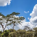 En el Huila se pueden realizar diversidad de planes, gracias a su amplia oferta turística.