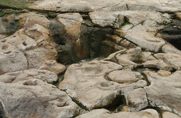 La Fuente fue descubierta en 1937. Desde hace cuatro años el Instituto Colombiano de Antropología e Historia (Icanh) adelanta un programa de conservación para identificar las causas de su deterioro, pues con el paso del tiempo las figuras se han venido desdibujando.  