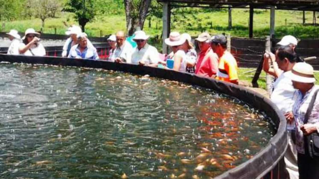 Comunidades rurales del país le están haciendo frente al reto de la seguridad alimentaria.