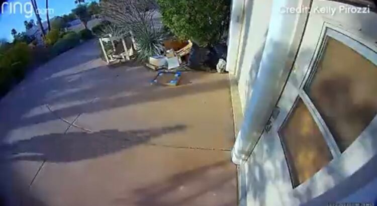 La mujer alcanza a lanzar un grito y le pregunta al niño si está bien. “Oh ma god, are you ok?, oh my goodness, oh my goodness”, (Oh mi Dios, estás bien, madre mía, madre mía) dice varias veces?, mientras lo carga en sus brazos, según las sombras que se observan.