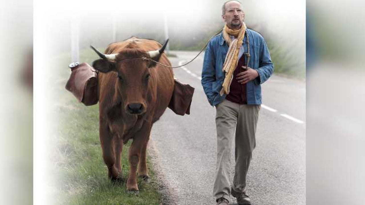 El filme más reciente de Mohamed Hamidi cuenta la travesía de Fatah, un granjero argelino, y su vaca por varias ciudades francesas.