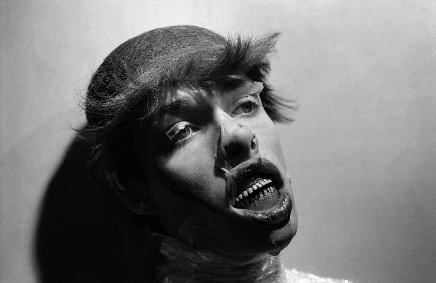 Motta explora en este proyecto la ambigüedad de los órganos genitales.