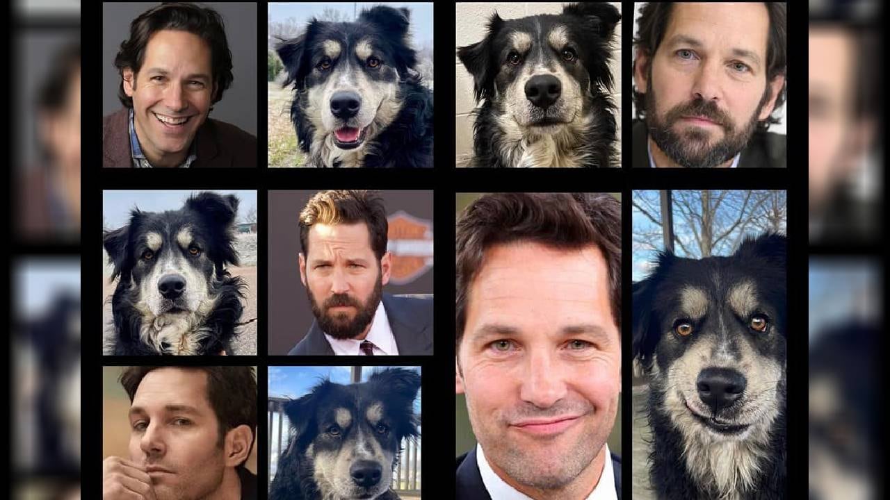 Las autoridades de Collierville, en EE.UU., intentaron que la historia llegara a conocimiento del actor.