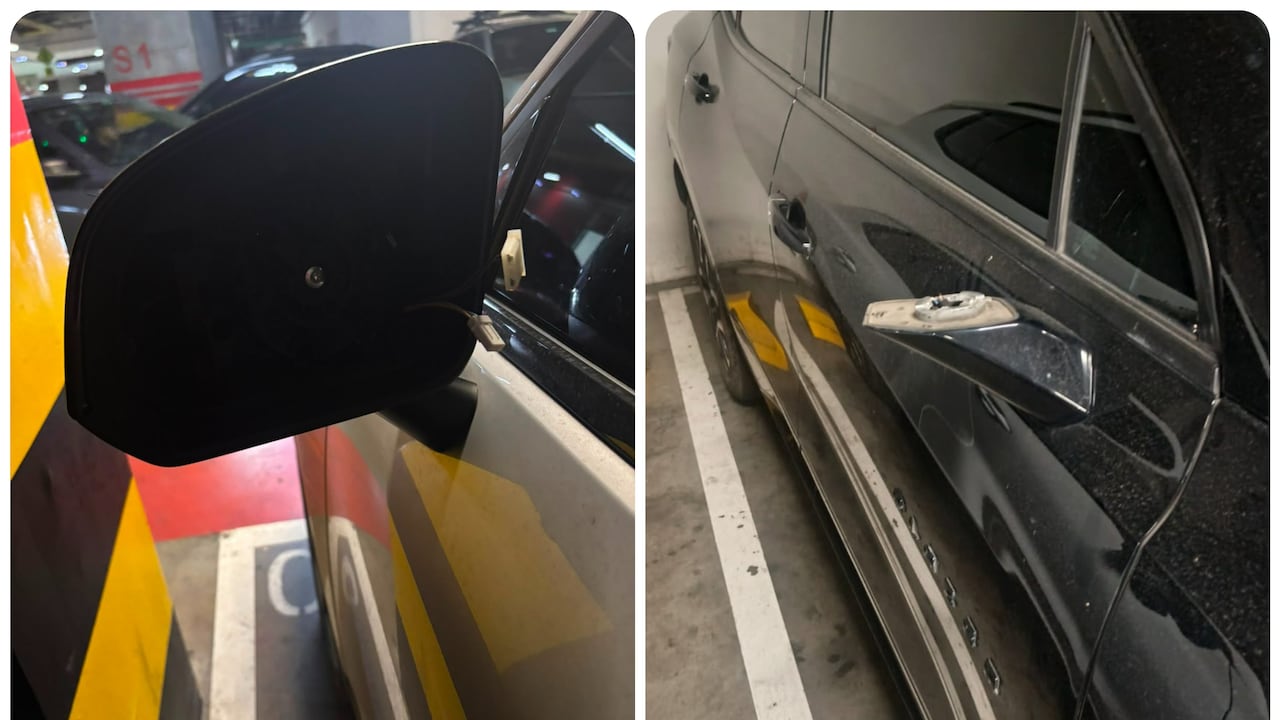 Robo masivo en el centro comercial Plaza Claro.