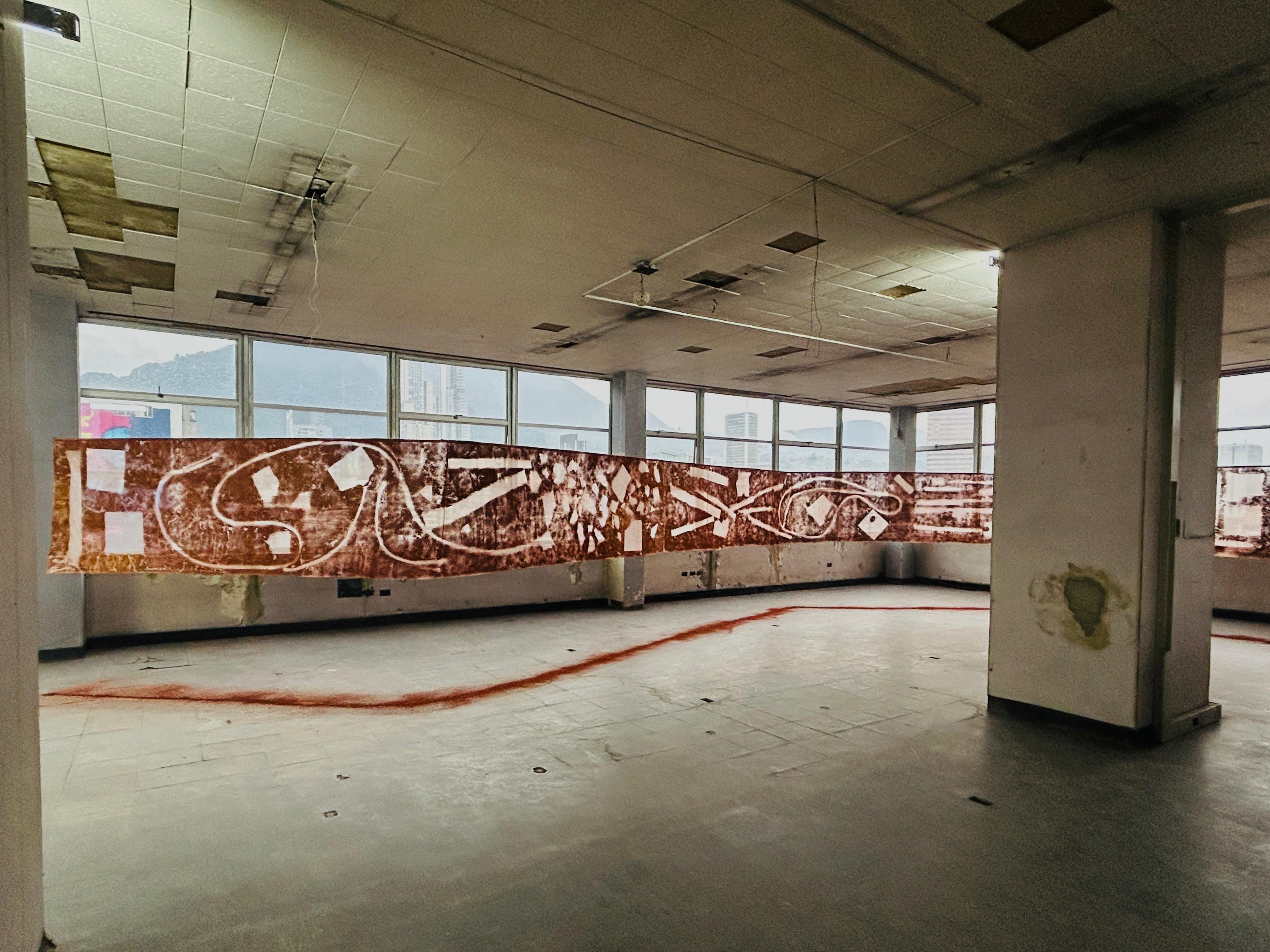 María Clara Figueroa, Phantasma, 2024.