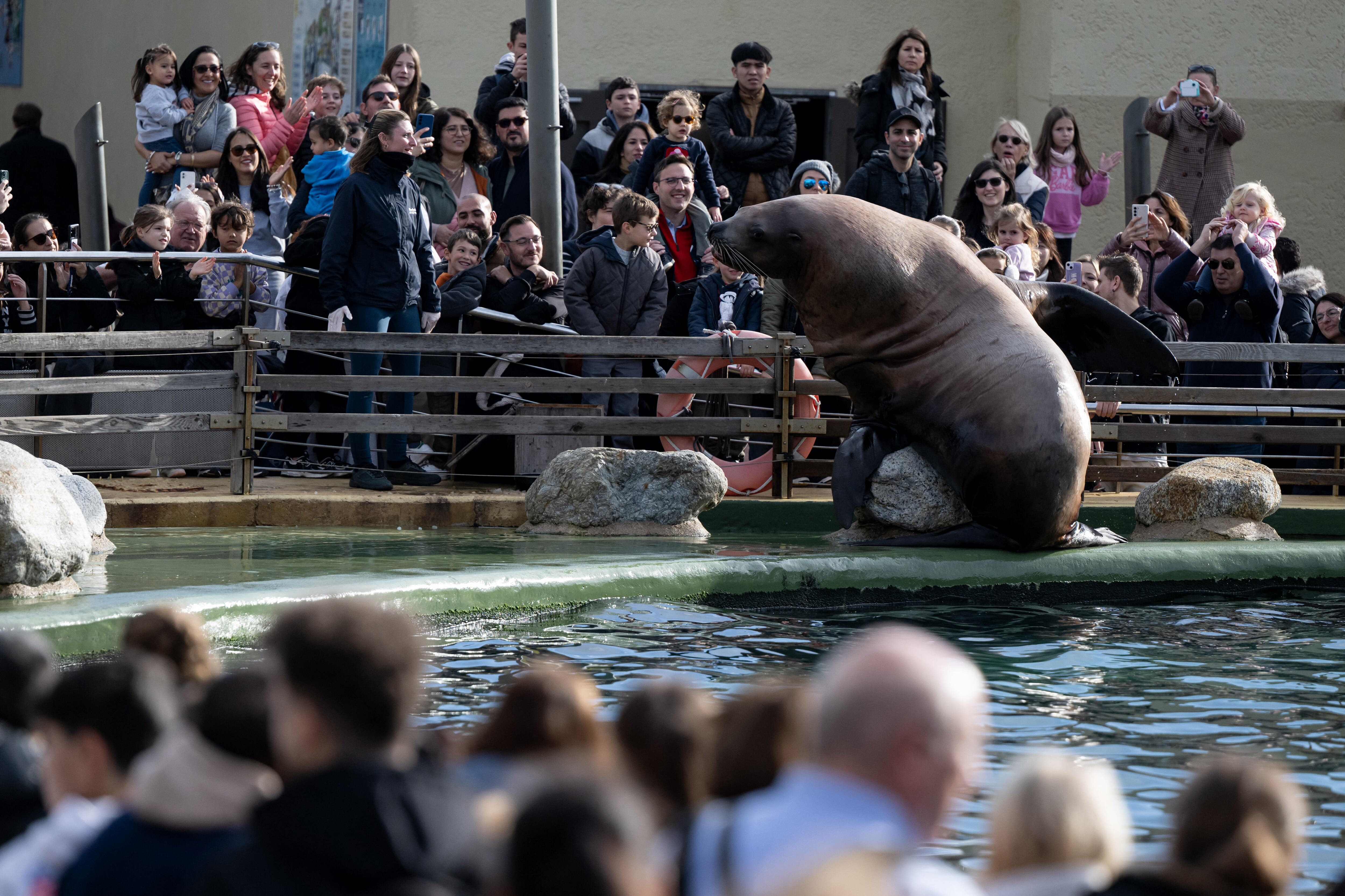 Parque marino Marineland Antibes de Francia cierra sus puertas: era el más grande de Europa: conozca los motivos de la decisión