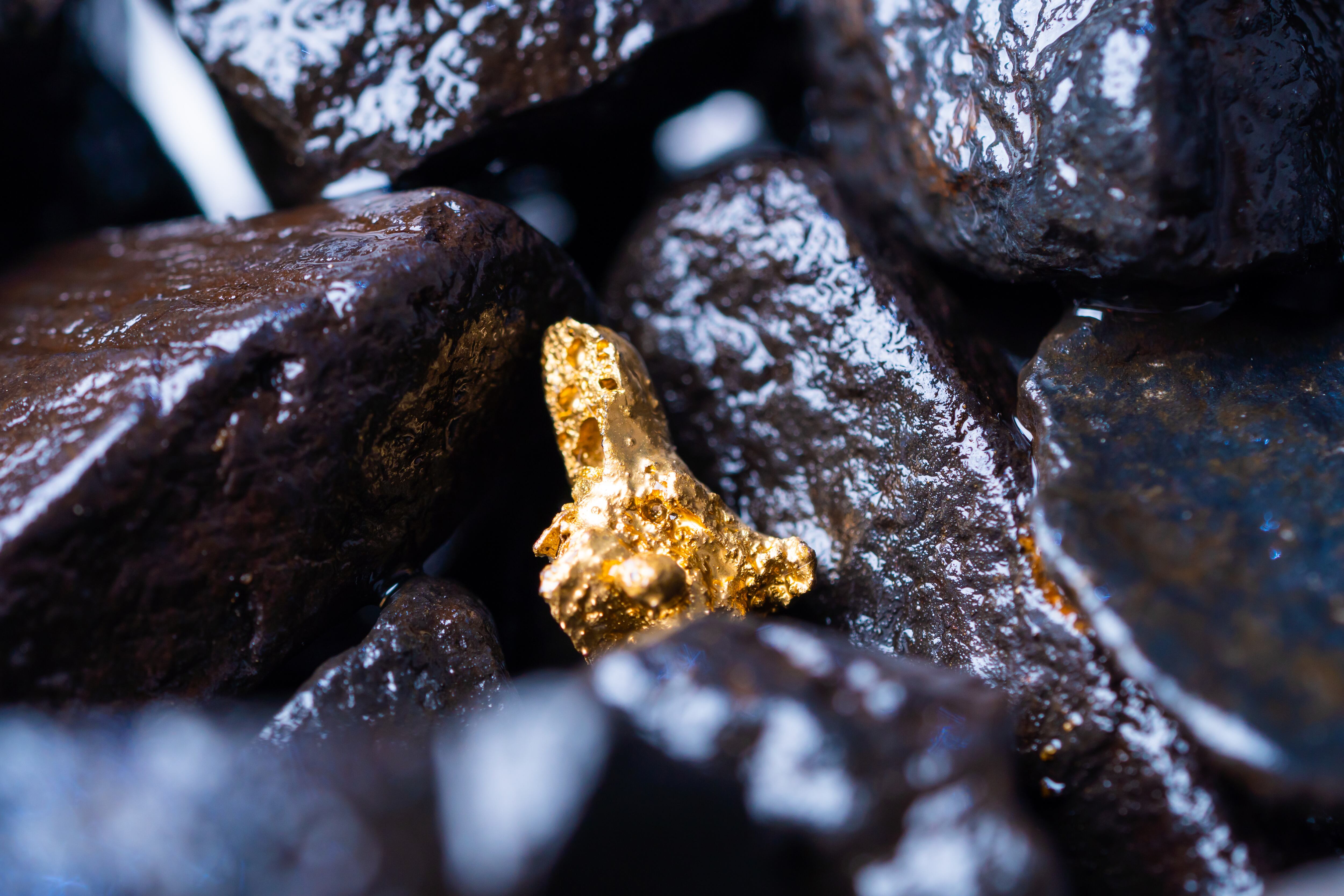 Gold Nugget mining from the River in Austria, real Gold.