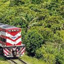 Las concesiones que han administrado el tren en los últimos años no han podido operarlo al máximo de su capacidad hacia el puerto de Buenaventura y el resto del Valle del Cauca.