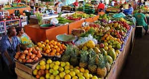 Demanda por vitamina C, oportunidad para Colombia