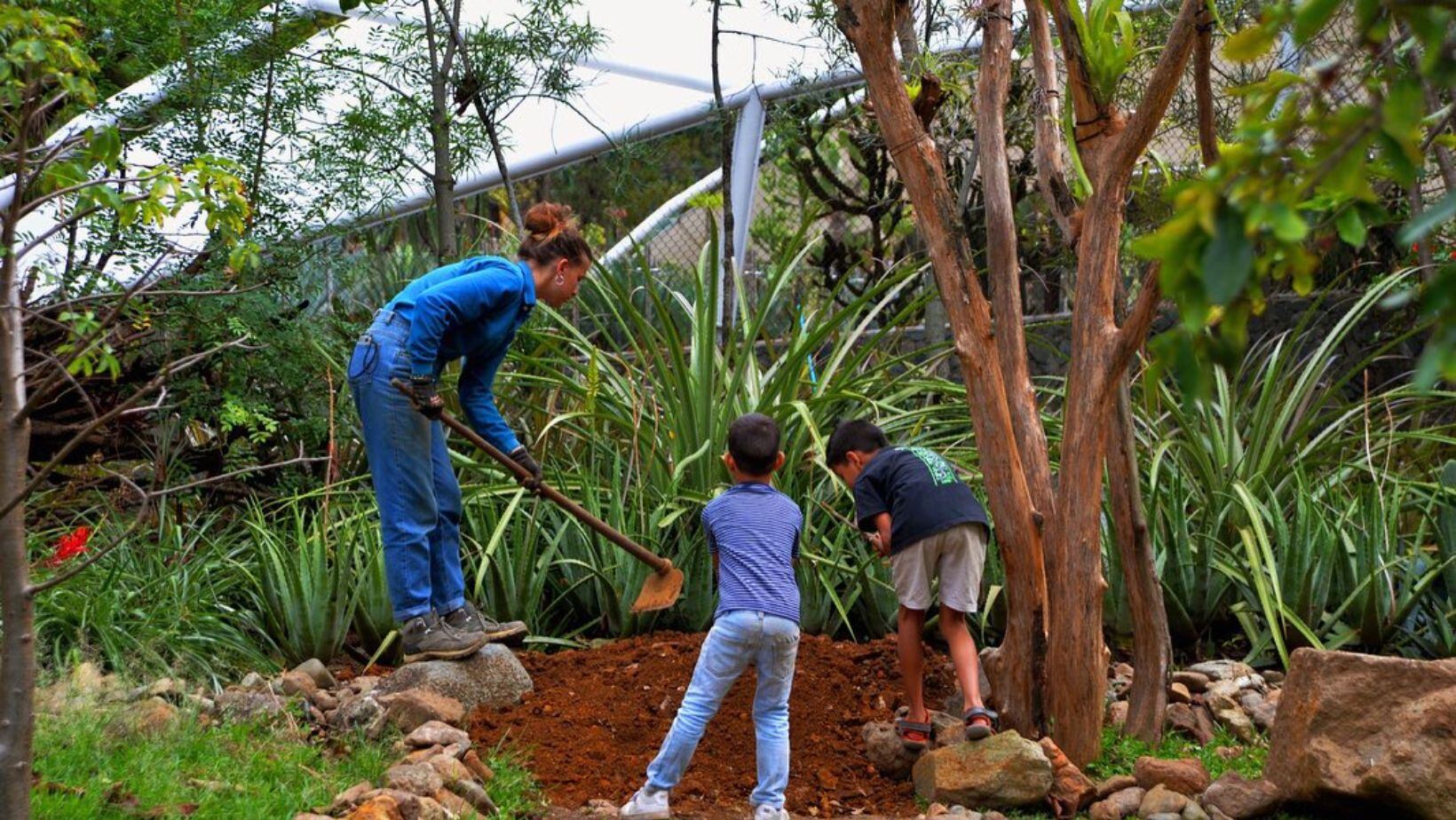 ¿Qué lugares visitar en Medellín? Estos son los sitios preferidos por los turistas