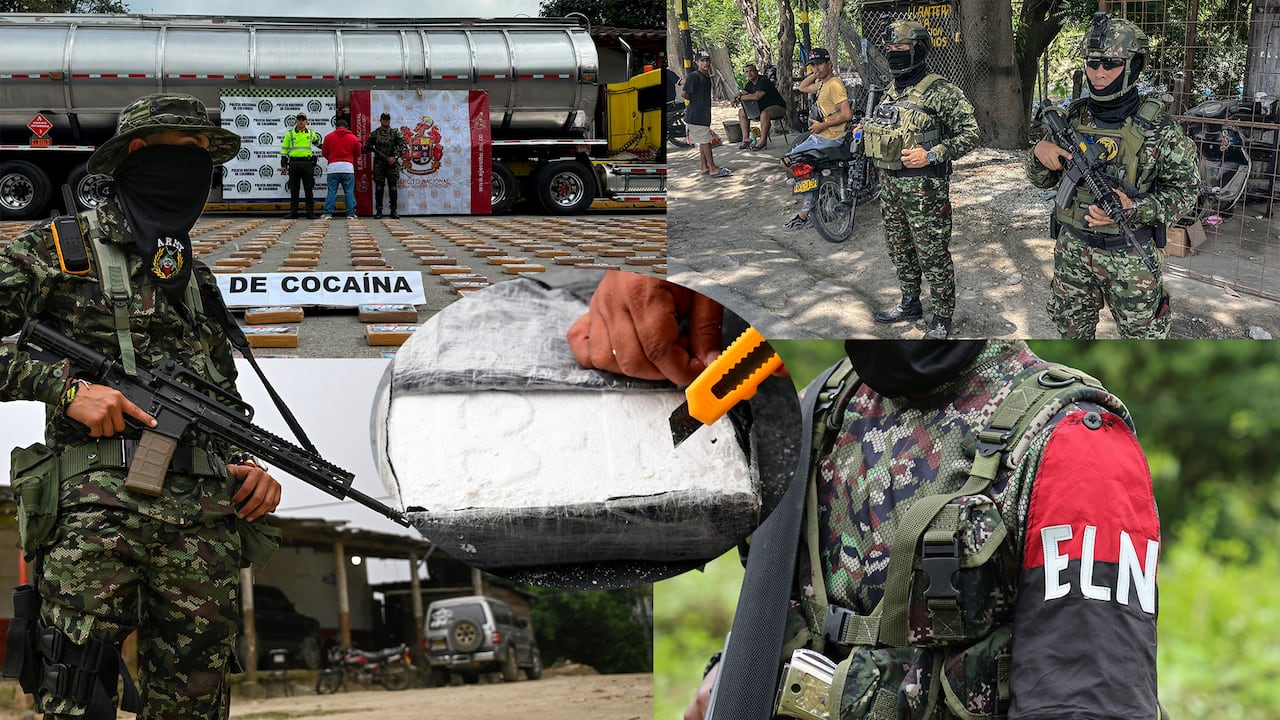 Las autoridades reportan fuertes golpes al narcotráfico durante las primeras semanas del nuevo Gobierno.