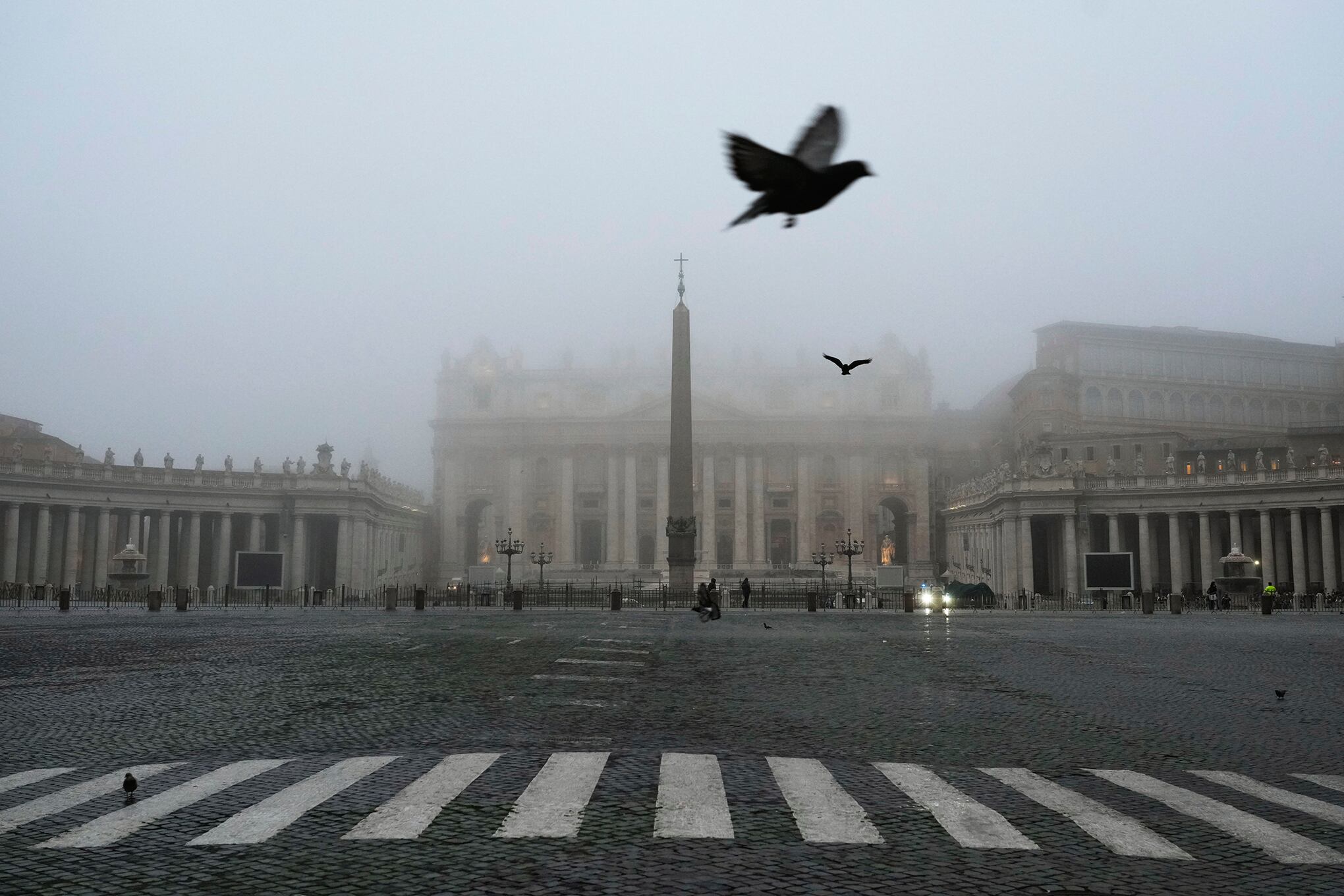 Fotos de la semana 18 noviembre