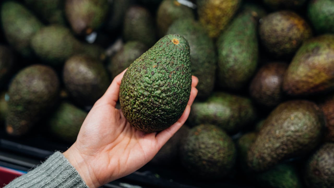 América Latina exporta el 60% de los aguacates a nivel mundial.
