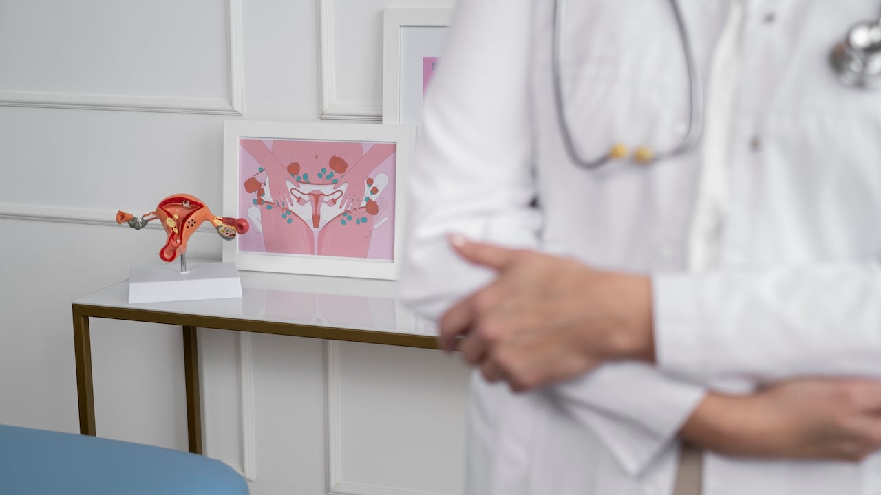 Imagen de referencia