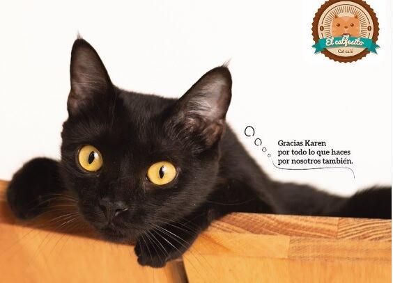 Cierran El Catfesito en Medellín