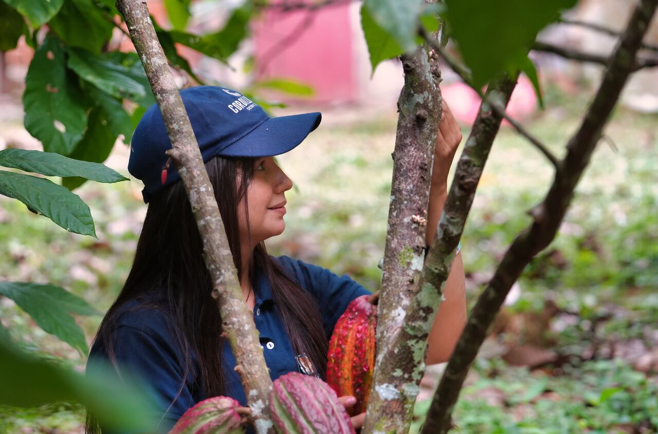Chocolate Cordillera de Nutresa