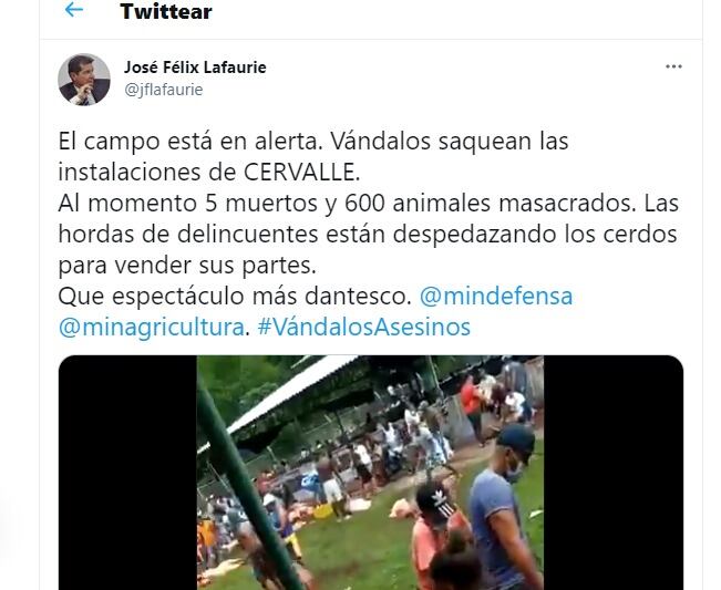 José Félix Lafaurie sobre saqueo de cerdos en la granja Cervalle. Foto: Pantallazo Twitter @José Félix Lafaurie