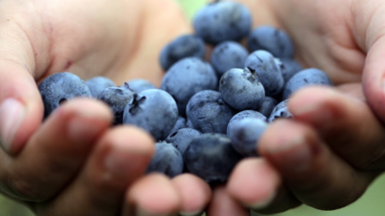 Su bajo contenido calórico y en carbohidratos los convierten en una fruta perfecta para perder peso.