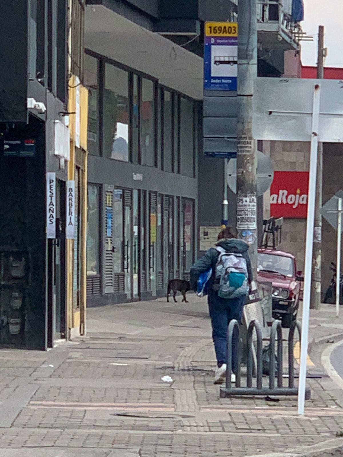 Hércules está perdido en el norte de Bogotá