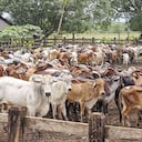 Los críticos consideran que esta acta demostraría que el gobierno de Iván Duque había pactado desde hace mucho tiempo entregarle el manejo de los parafiscales a Fedegan