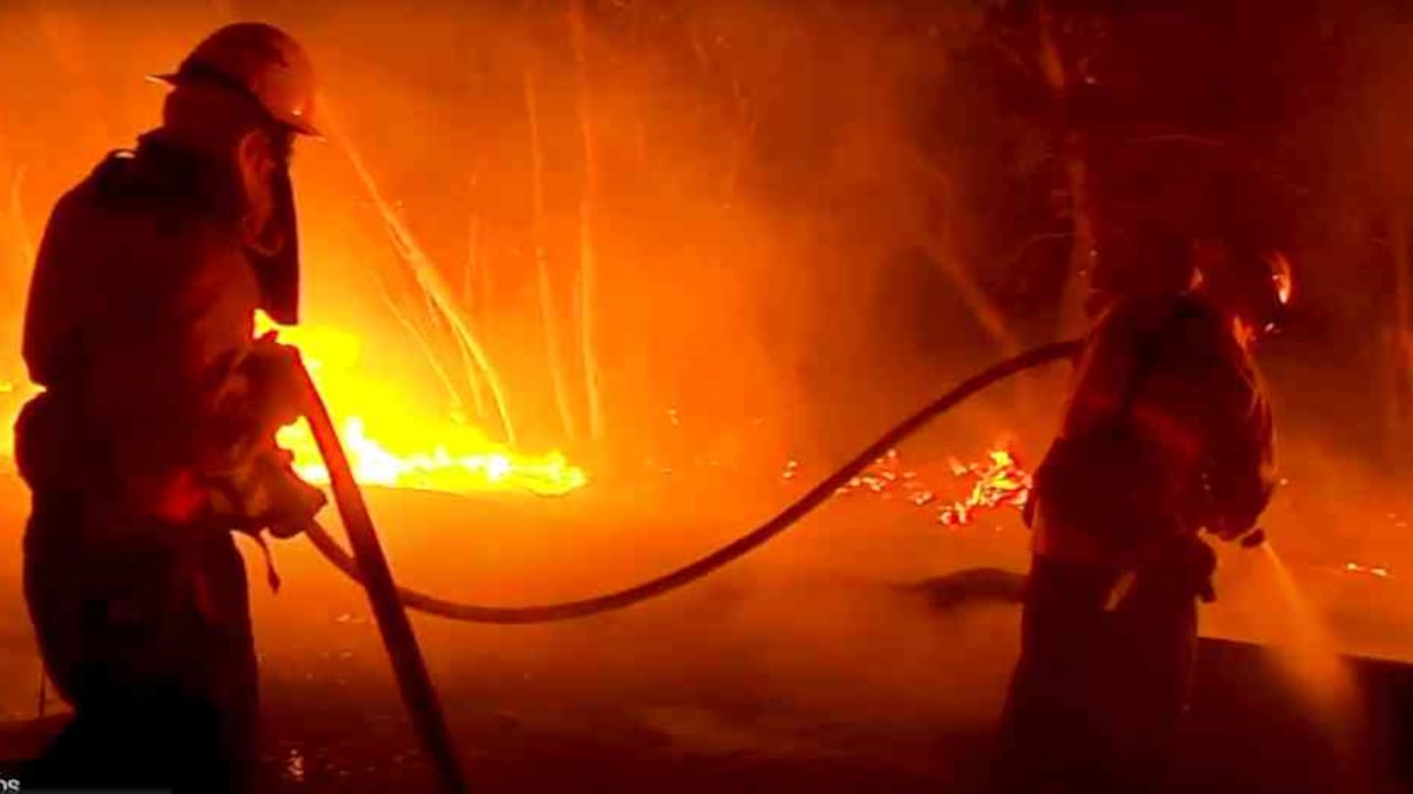 Los incendios en Australia durante 2019 y 2020 arrasaron con 12 millones de hectáreas. Foto: WWF AUSTRALIA