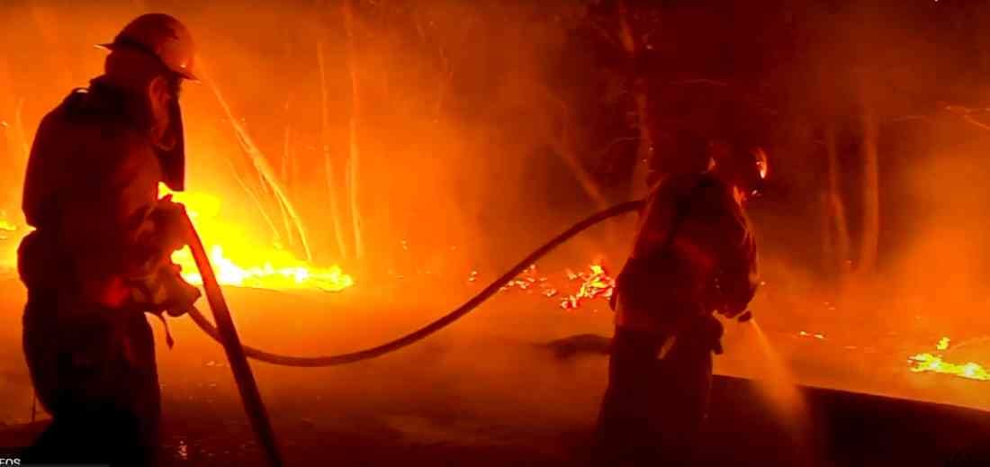 Los incendios en Australia durante 2019 y 2020 arrasaron con 12 millones de hectáreas. Foto: WWF AUSTRALIA