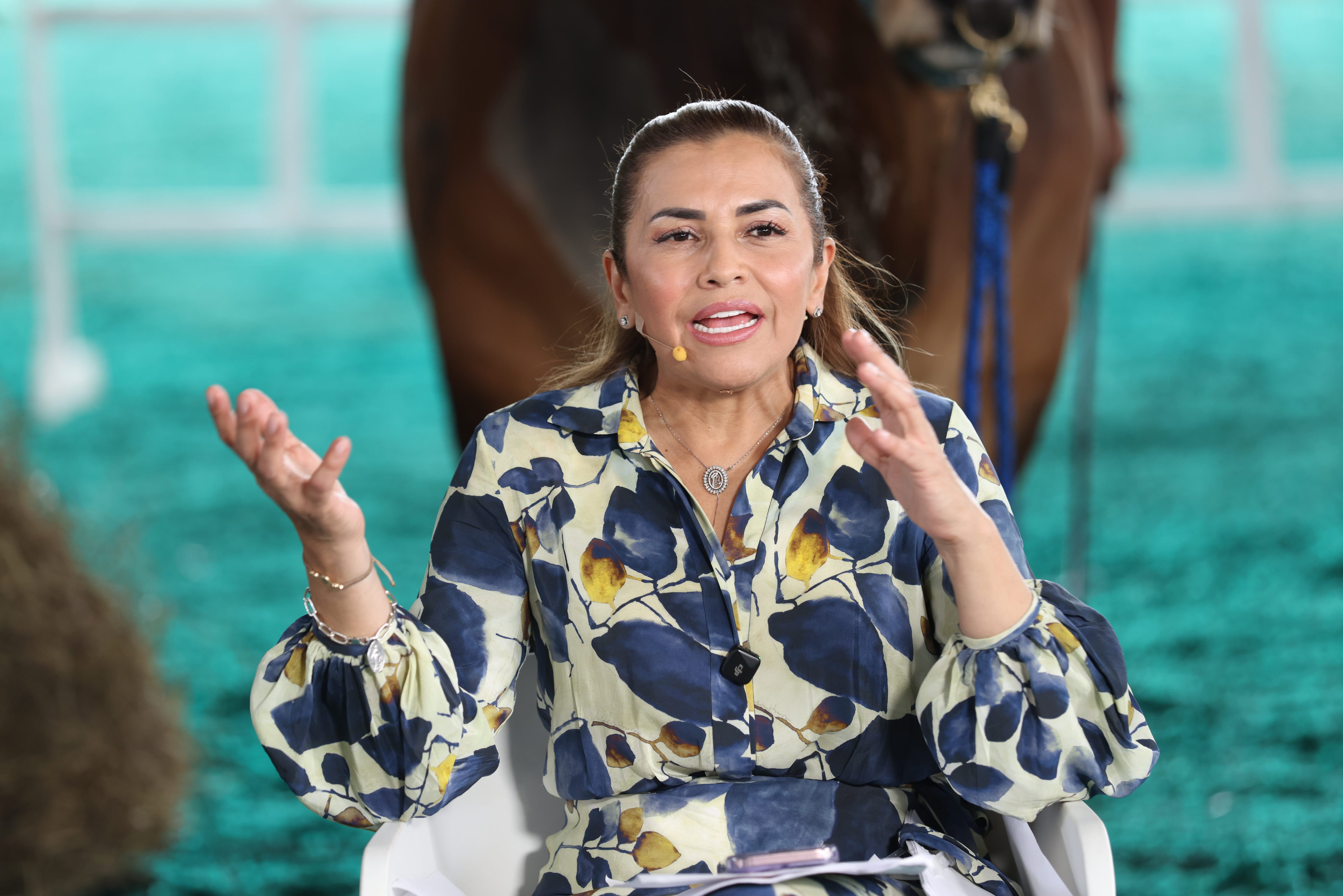 El Debate
Habla Rafaela Cortés, gobernadora del Meta.