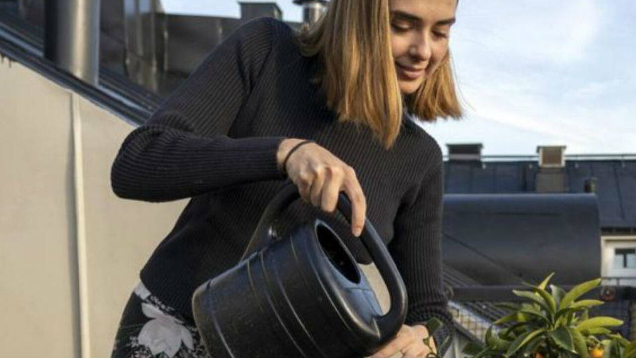 En Suecia, la edad más común para salir de casa de los padres es entre los 18 y 19 años, en comparación con el promedio de 26 años en la Unión Europea. Getty Images.