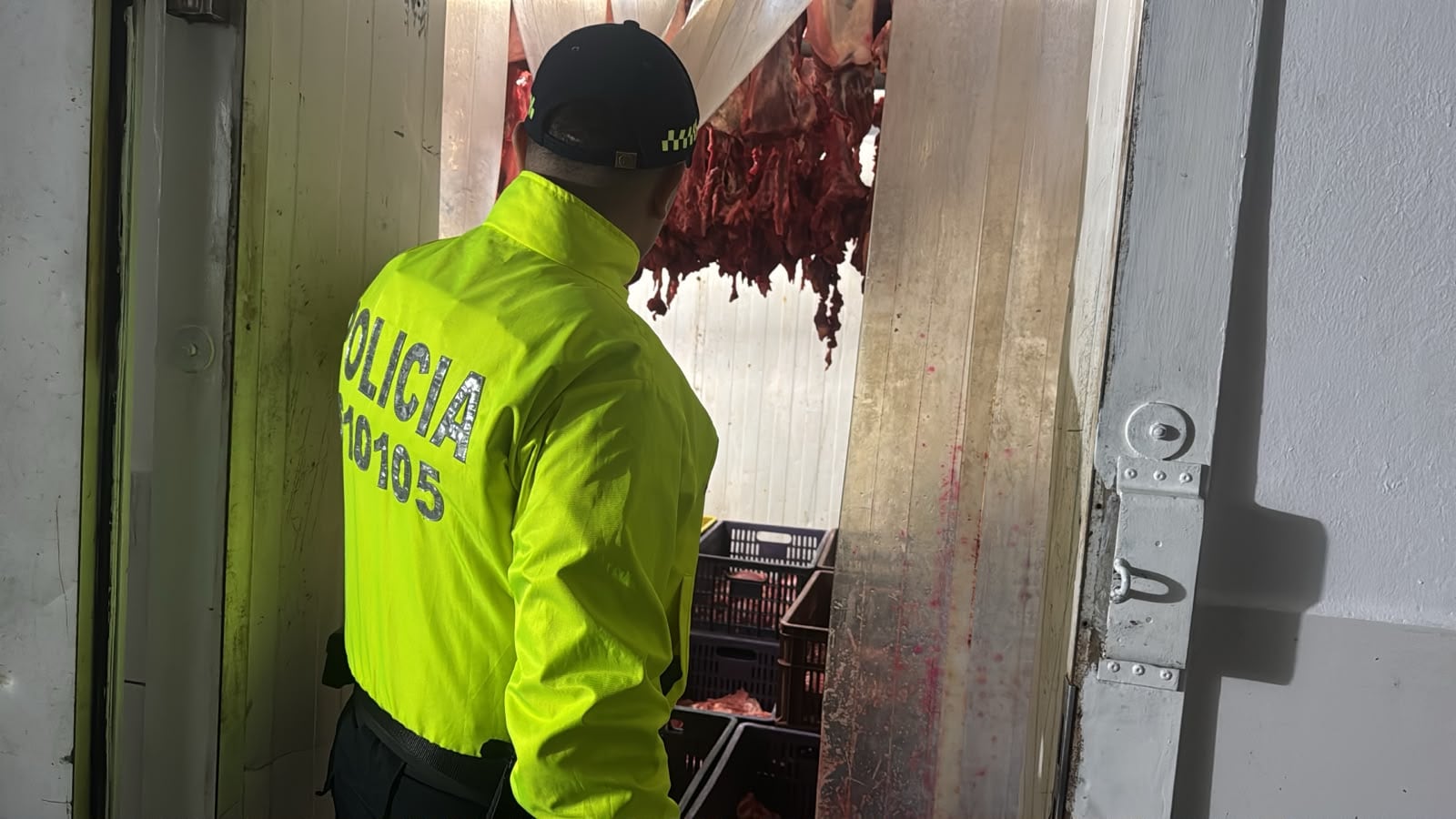 En Bucaramanga, cayó red de venta clandestina de carne de caballo. Les incautaron 1,4 toneladas de carne.